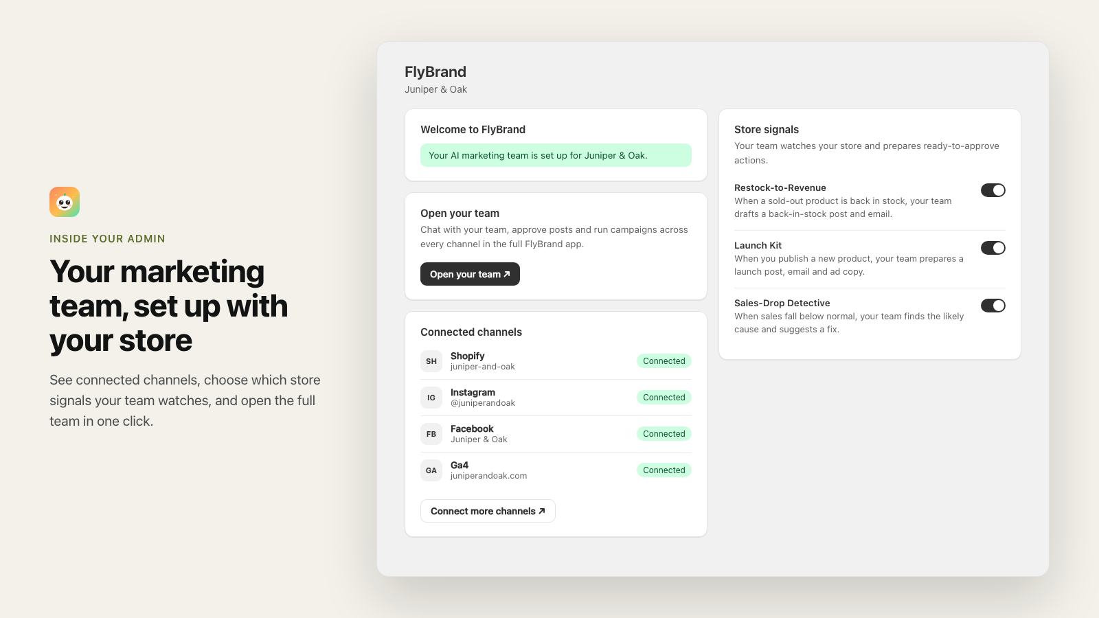 FlyBrand home inside the Shopify admin: welcome banner, Open your team button, connected channels and store signal switches.